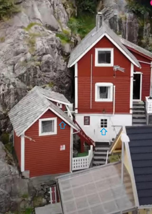 Cozy bedroom & basement with amenities - B&B Odda