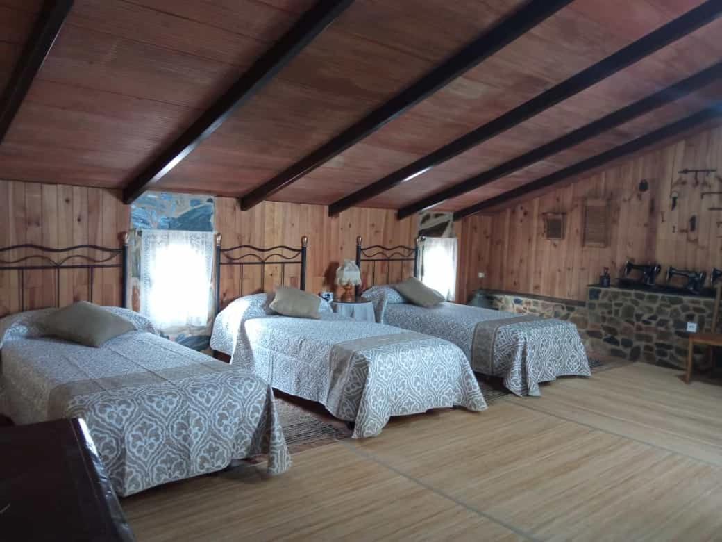 El rincón de Nora - Bed and Breakfast Jabugo
