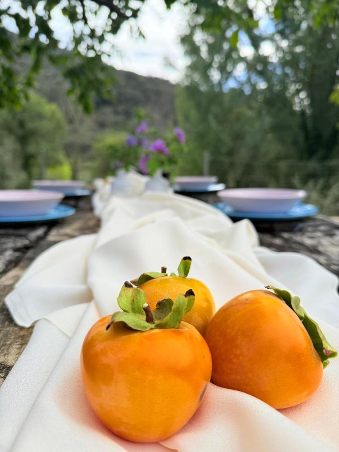 Casa Rural Orilla del Hueznar - B&B Cazalla de la Sierra