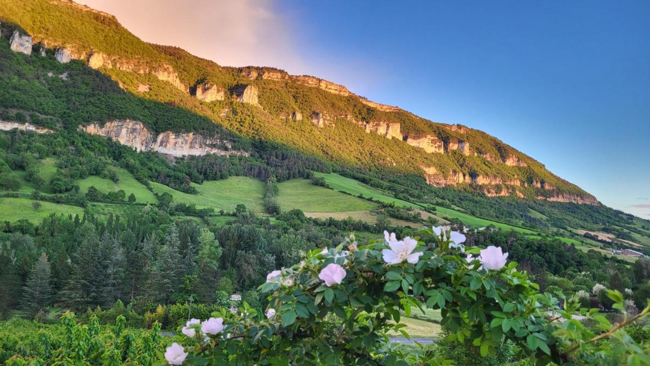King Room with Pool View