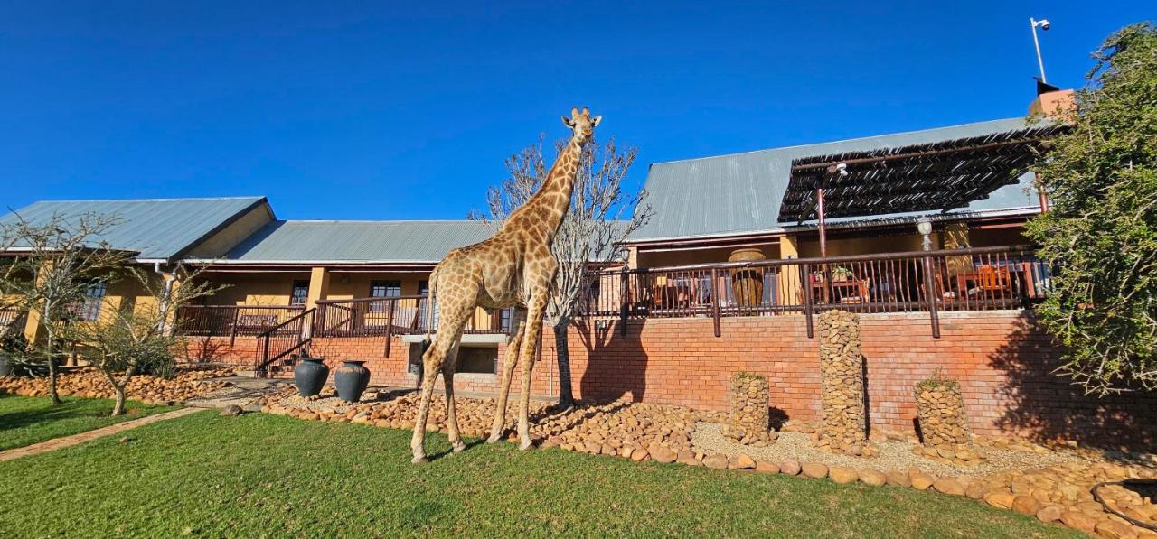 Valley Bushveld Country Lodge - B&B Addo