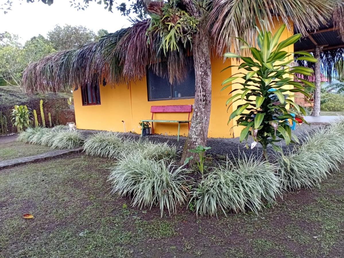 Double or Twin Room with View