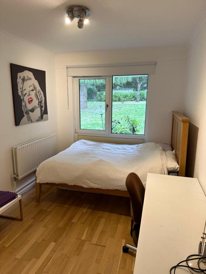 38 rosedene - B&B Londra