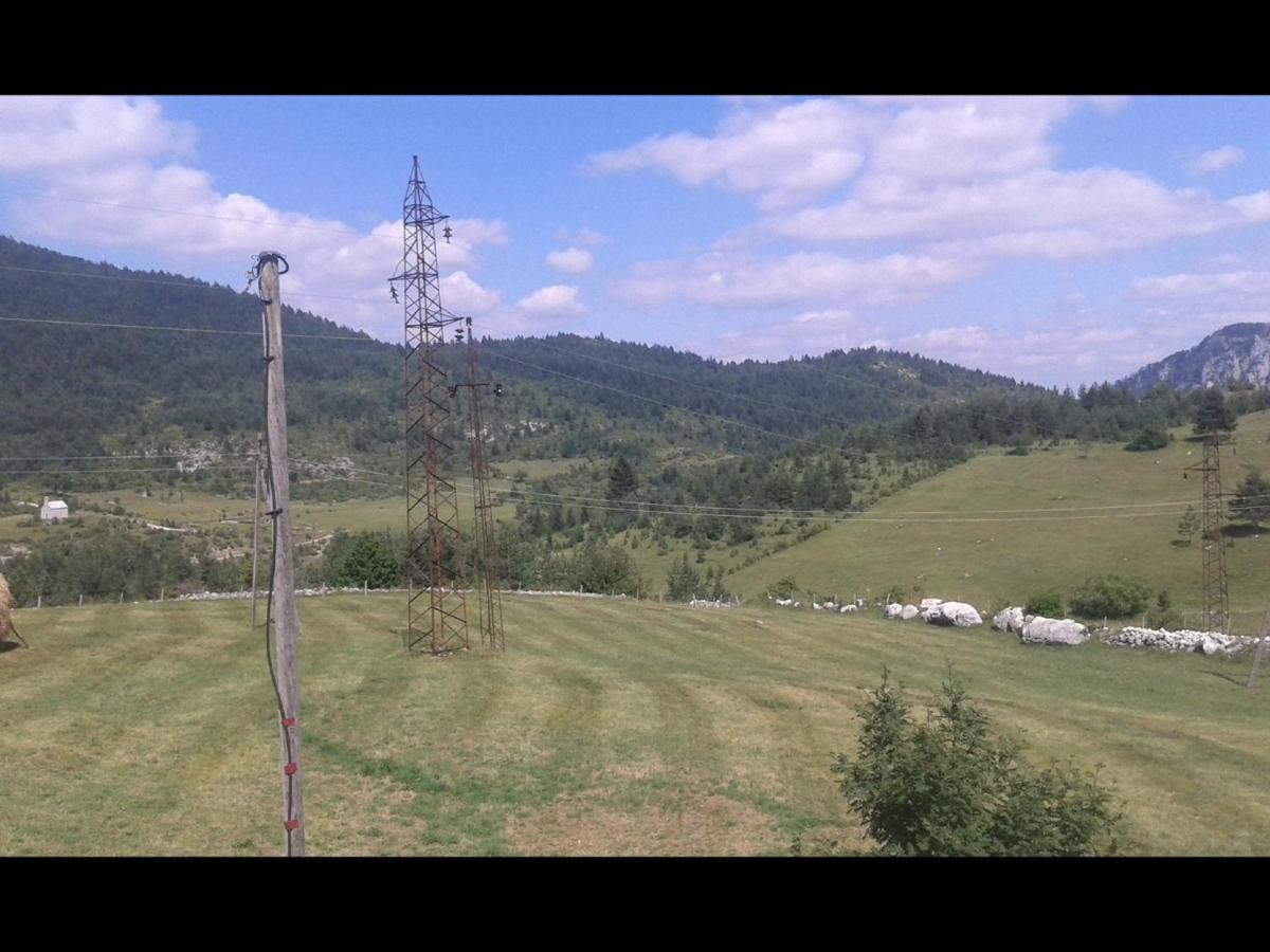 Holiday Home Usovic - B&B Zabljak