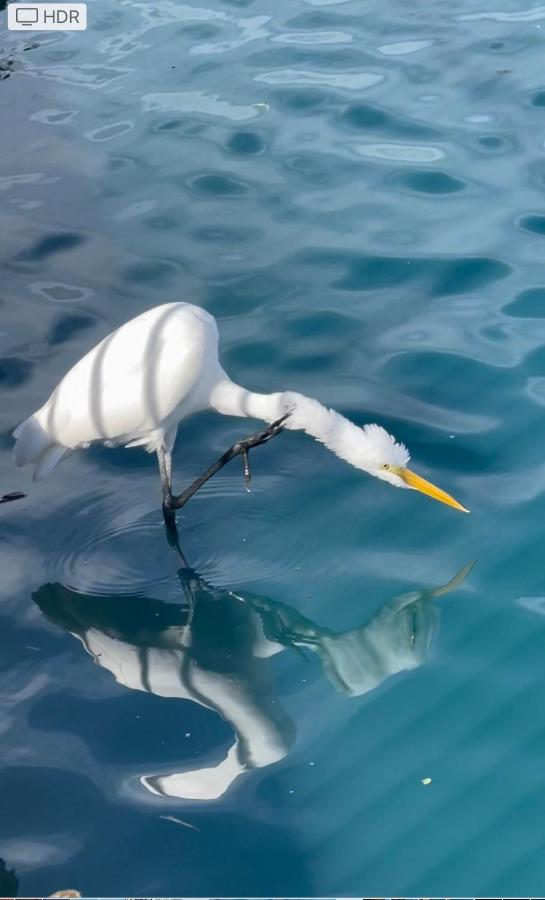 Manor - Ferienwohnung Sugar Land