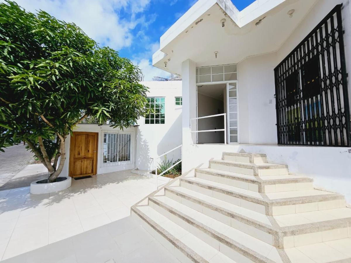 León Dormido Suite 01 - B&B Puerto Baquerizo Moreno