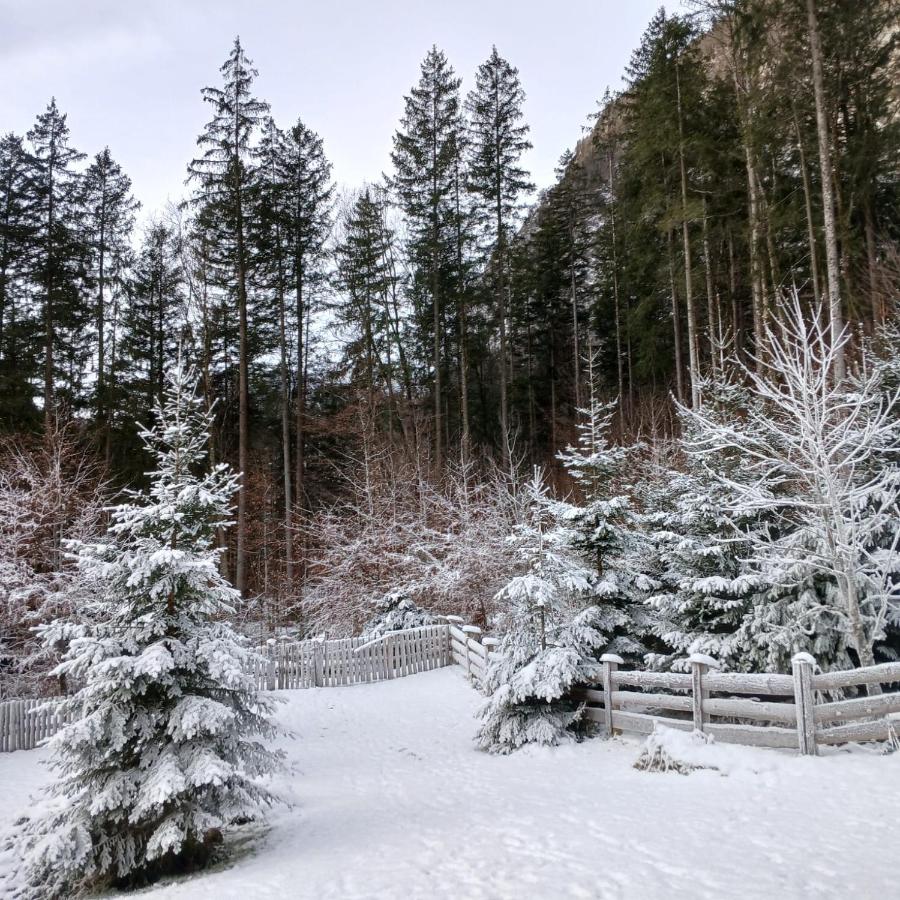 Haus Bluntautal - B&B Golling an der Salzach