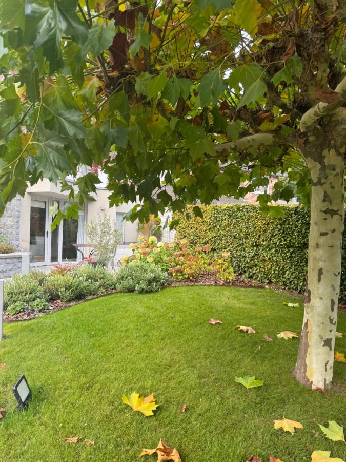 Le Temps d'un Rêve - B&B Durbuy