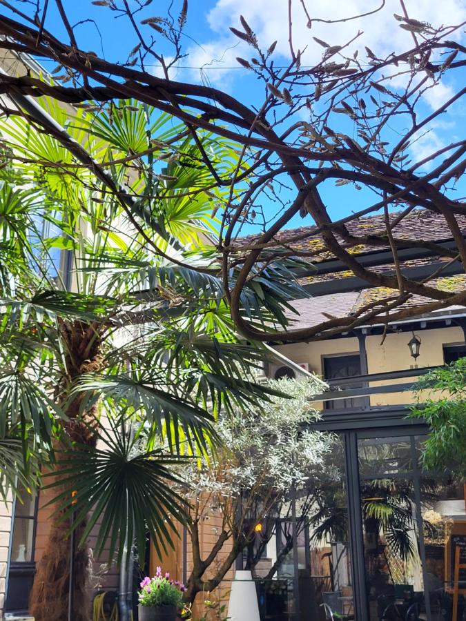 Le Poulpe Saint-Aignan - Bed and Breakfast Saint-Aignan