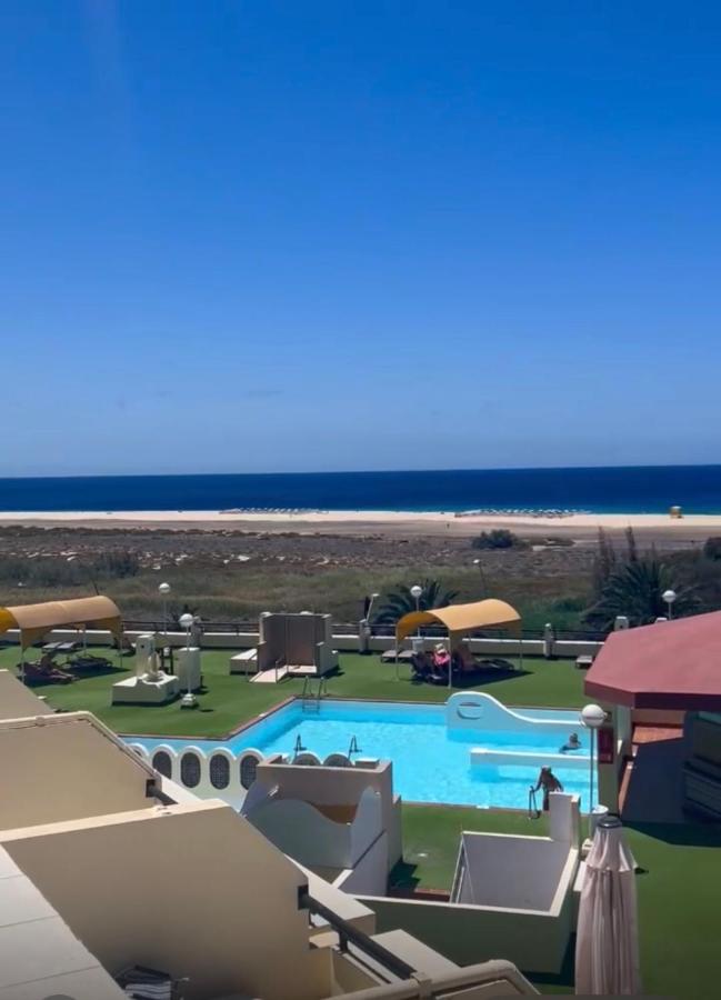 IPA Palm Garden - B&B Morro del Jable