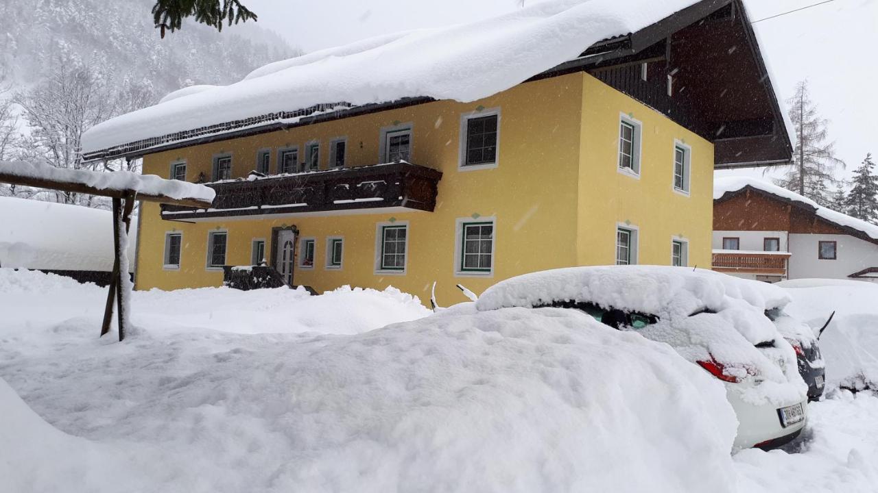 Appartement Ennsperle - B&B Schladming