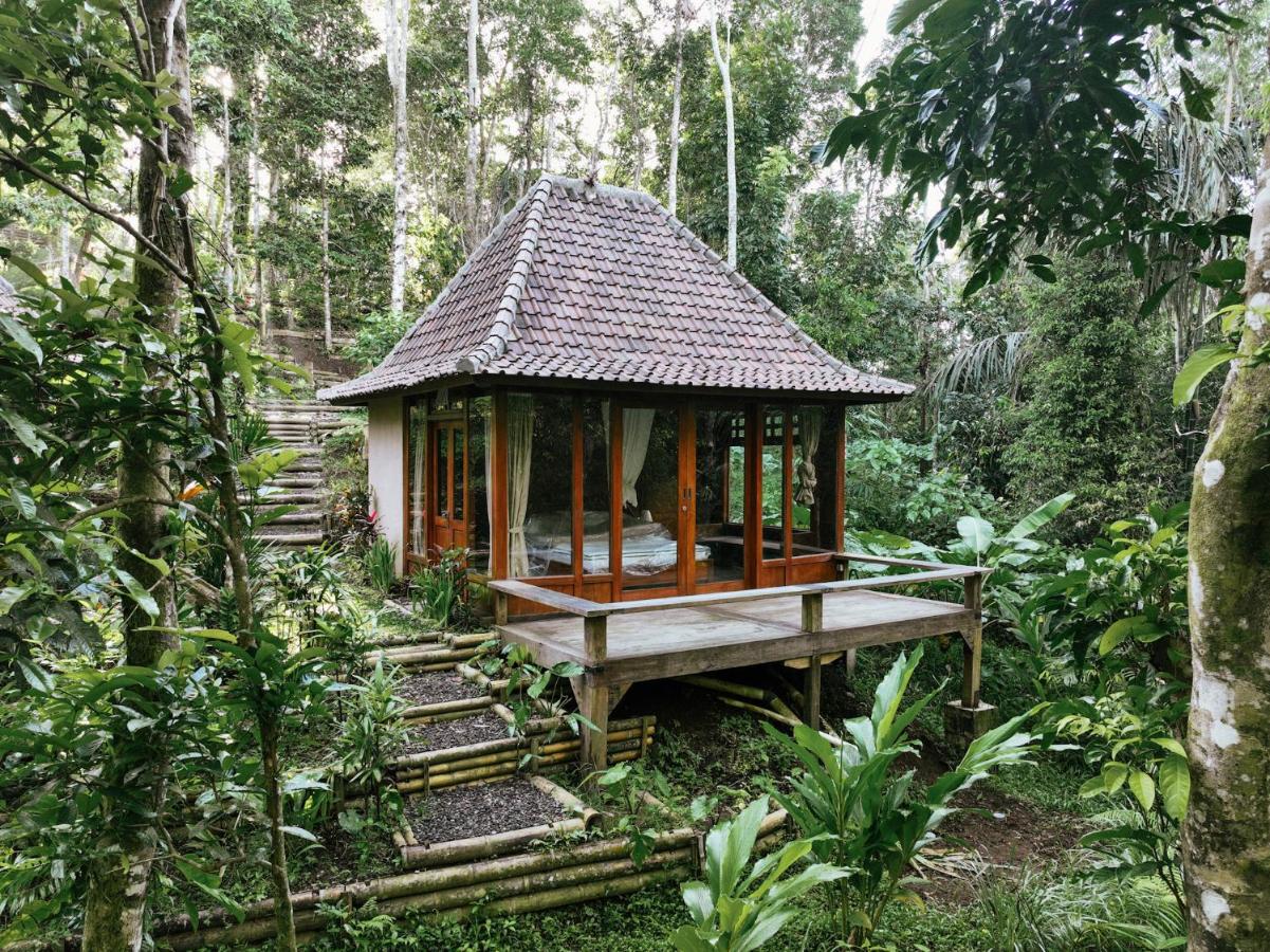 Cabin with Forest & River View