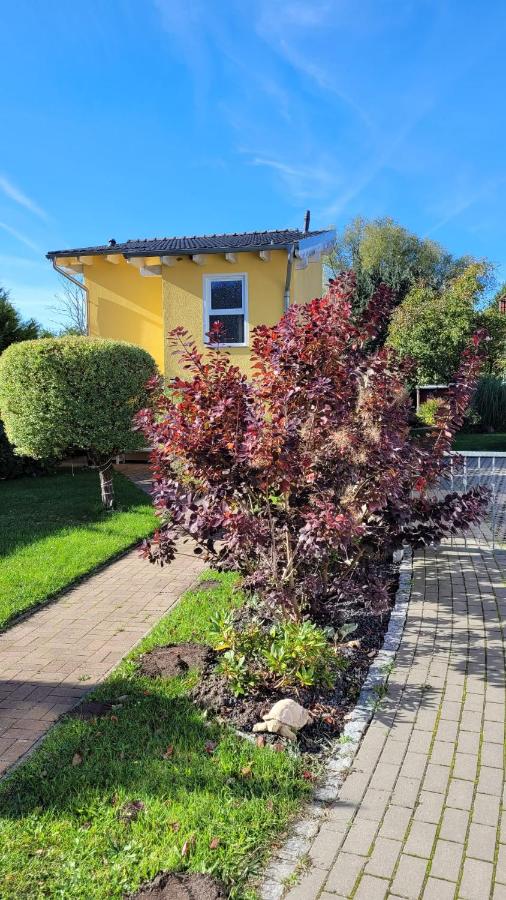 Ferienhaus an der Brunnenaue 4 Sterne, E-Ladestation am Haus, Wlan, Netflix, Garten - B&B Sagard