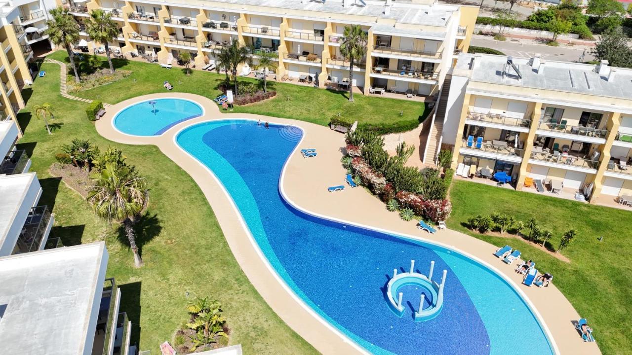 Marina Garden Palm Tree by Be Cherish - B&B Albufeira