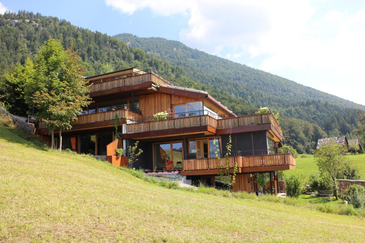 The View - B&B