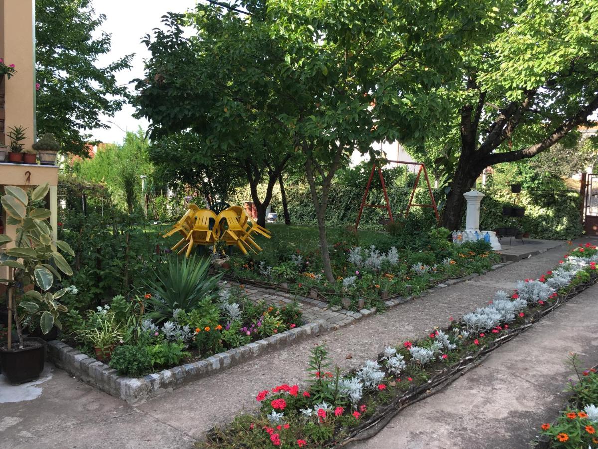 Pansion Velickovic - Bed and Breakfast Niška Banja