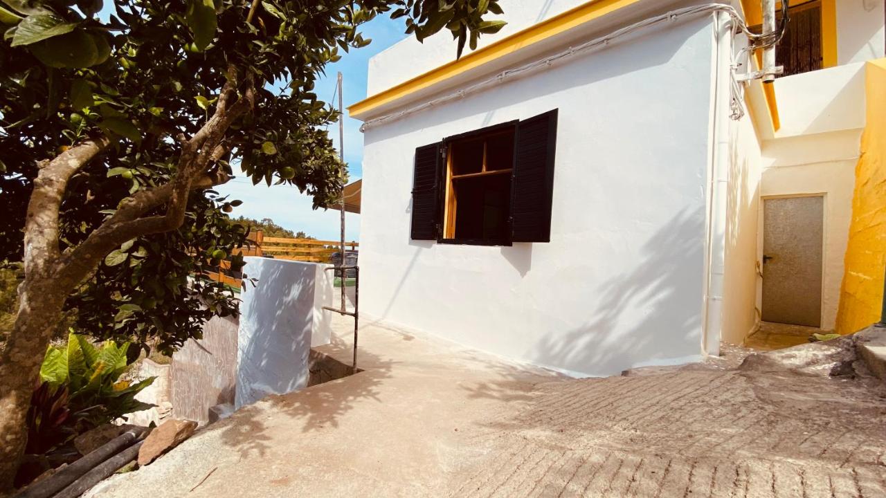 Vista Pino - B&B Moya