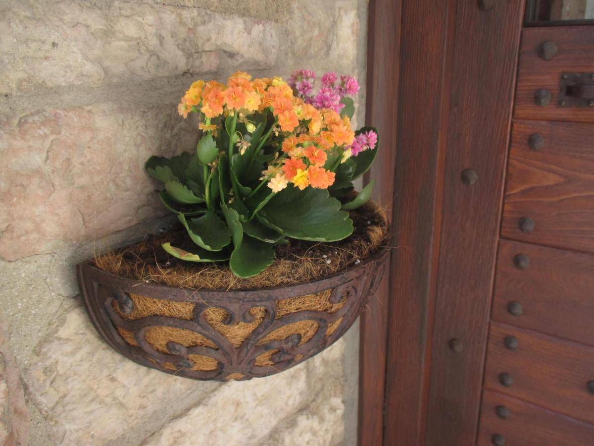 Vico Del Poeta - B&B