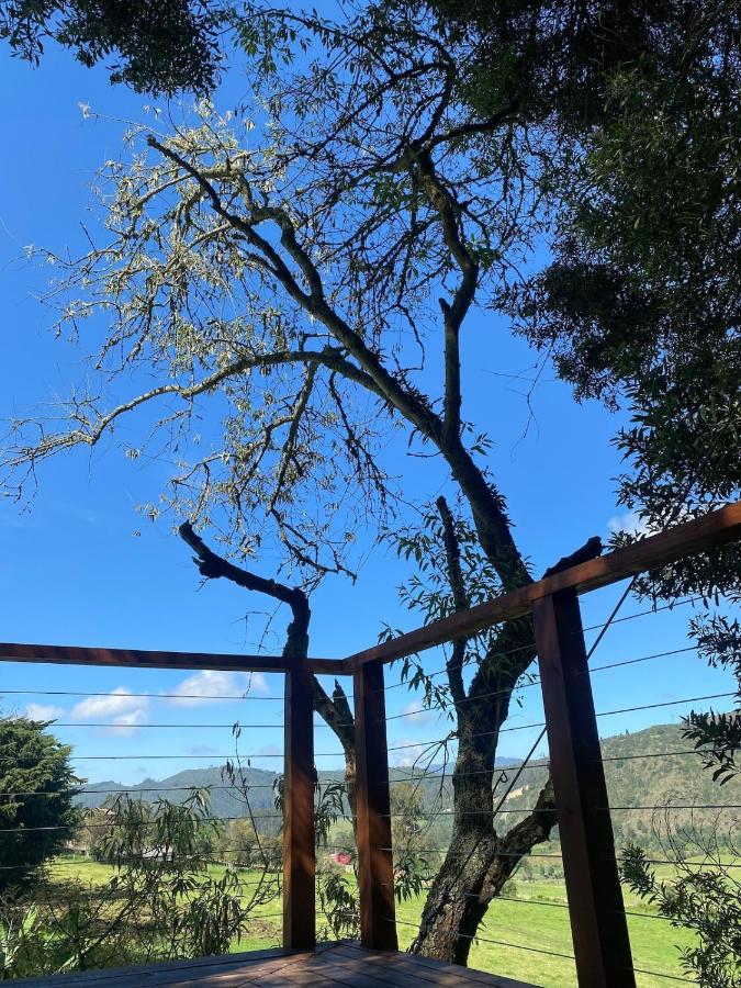 Casa del Árbol Sesquile - B&B Tres Esquinas