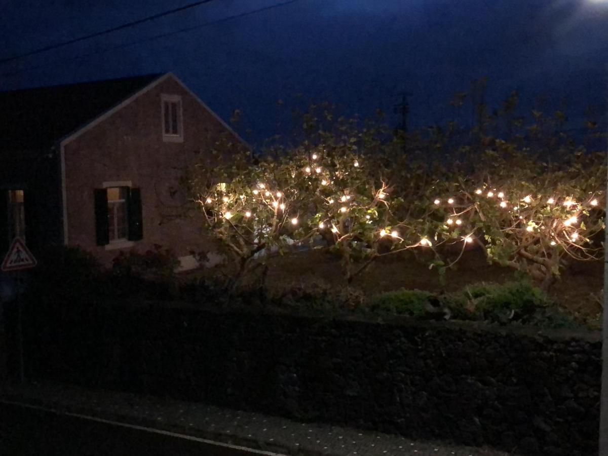 Cozy Nest - B&B Bretanha