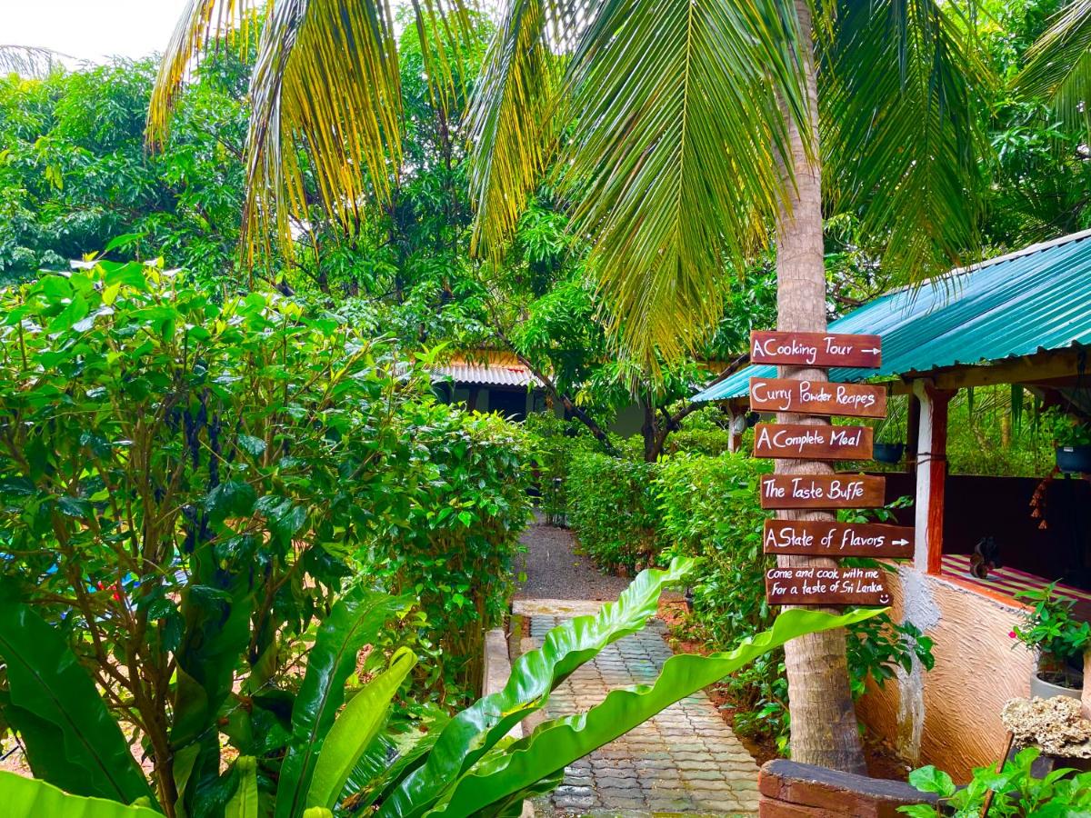 Habitación Doble Deluxe con cama supletoria