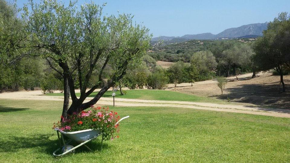 Bungalow - Vue sur Jardin