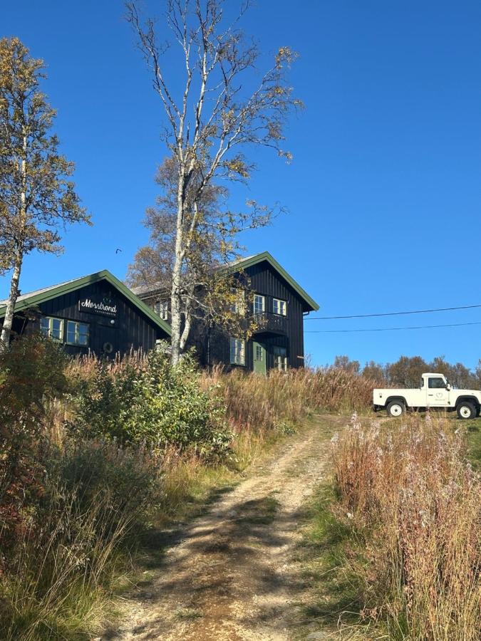 Quadruple Room with Mountain View