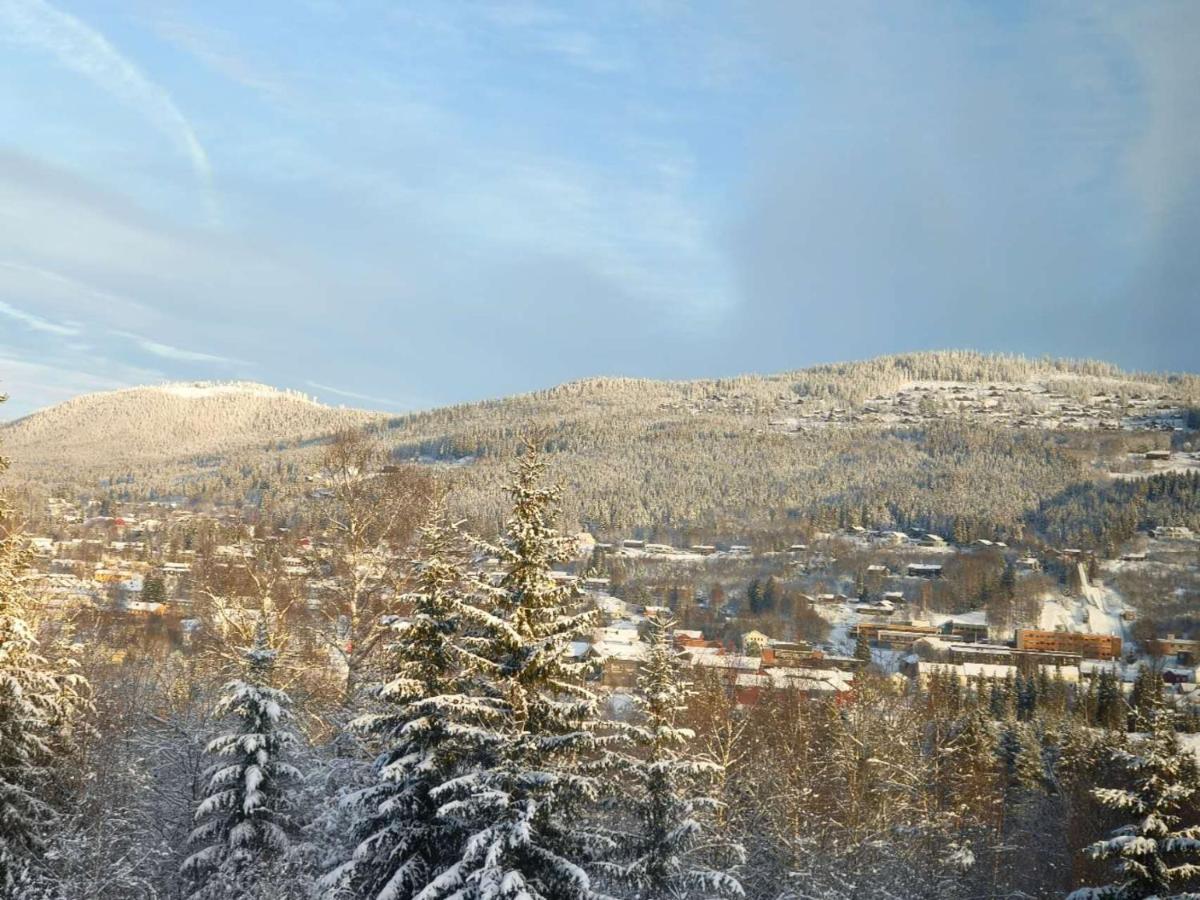 Trysil turistesenter hytte - B&B Trysil