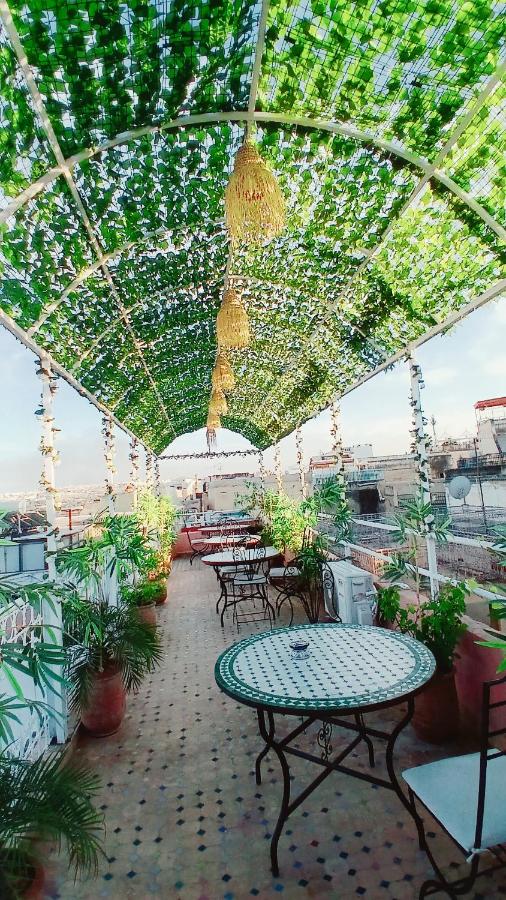 Riad Rayhane -Exclusive Luxury Stays in Fes Medina - B&B Fez