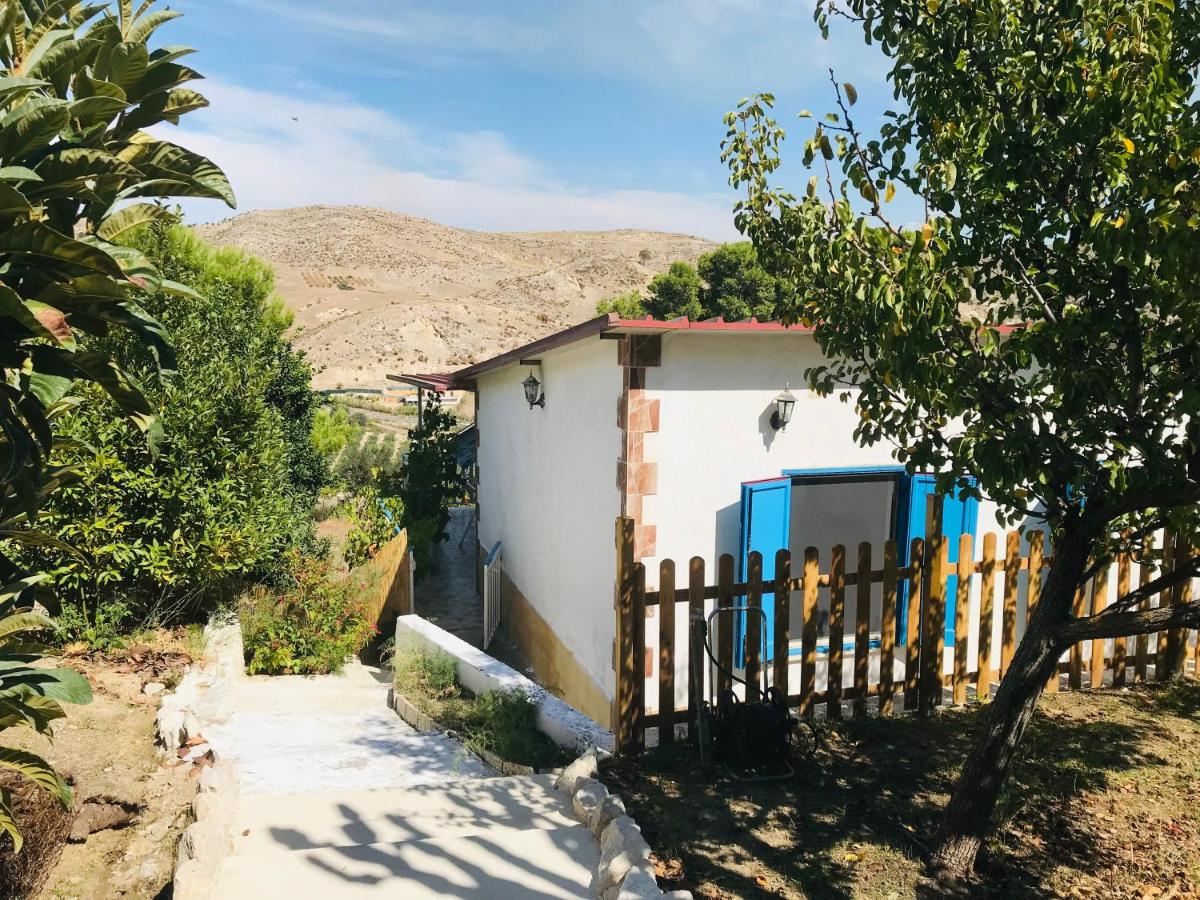 Artemision - B&B Realmonte