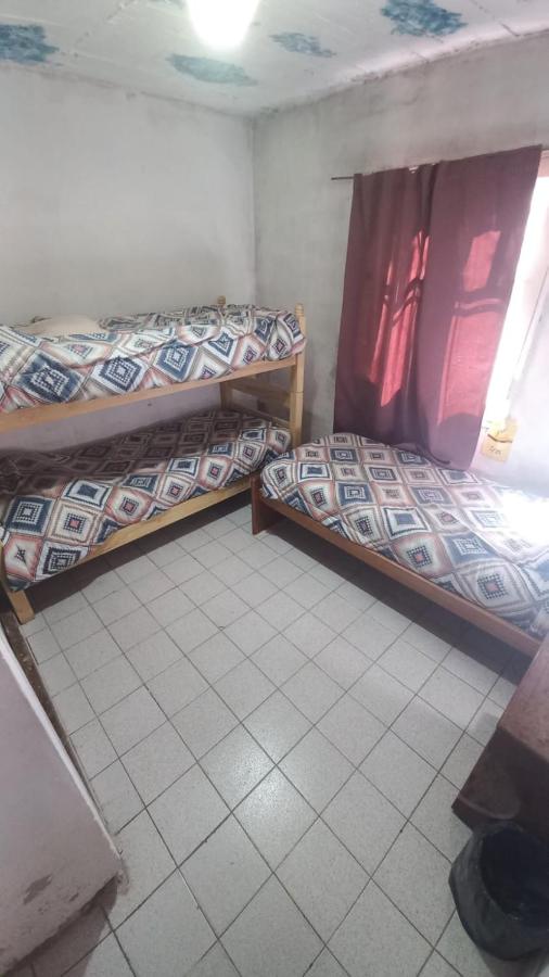 Einzelbett im gemischten Schlafsaal