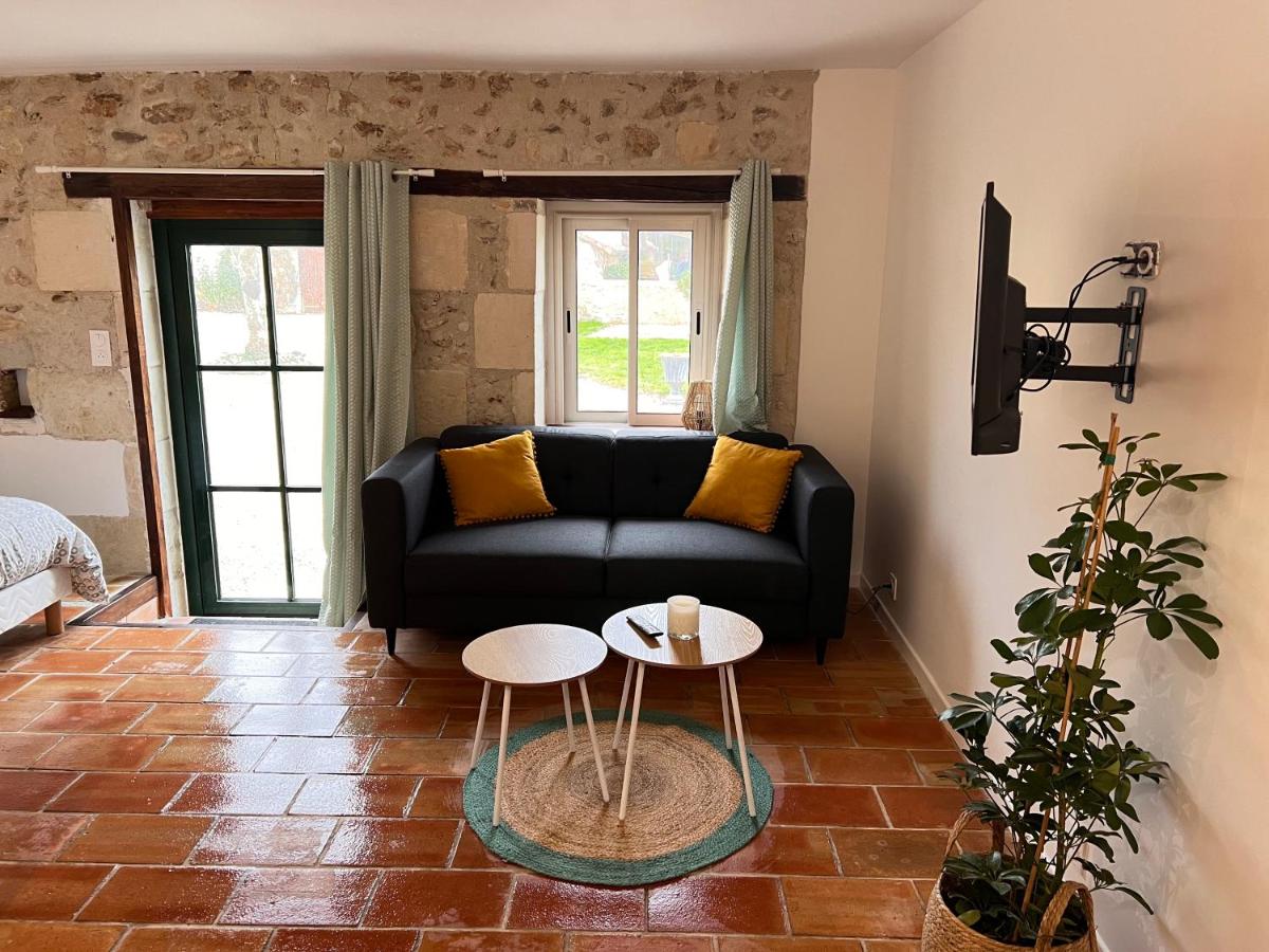 Studio à 20 min des cures thermales de La Roche Posay - Casino - B&B Archigny