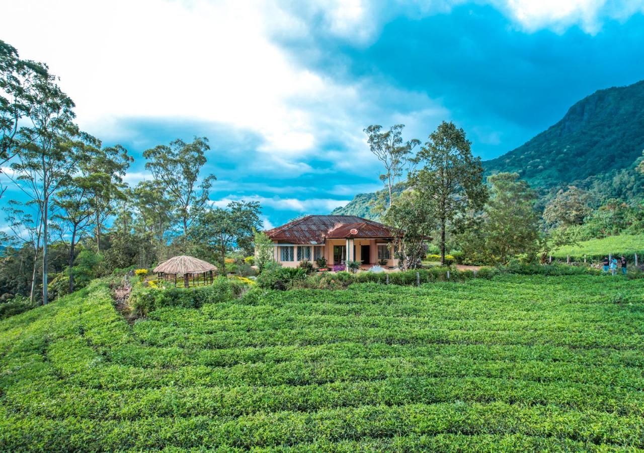 Viriparai Tea Bungalow Munnar by VOYE HOMES - Surrounded by Tea Plantations - B&B Munnar