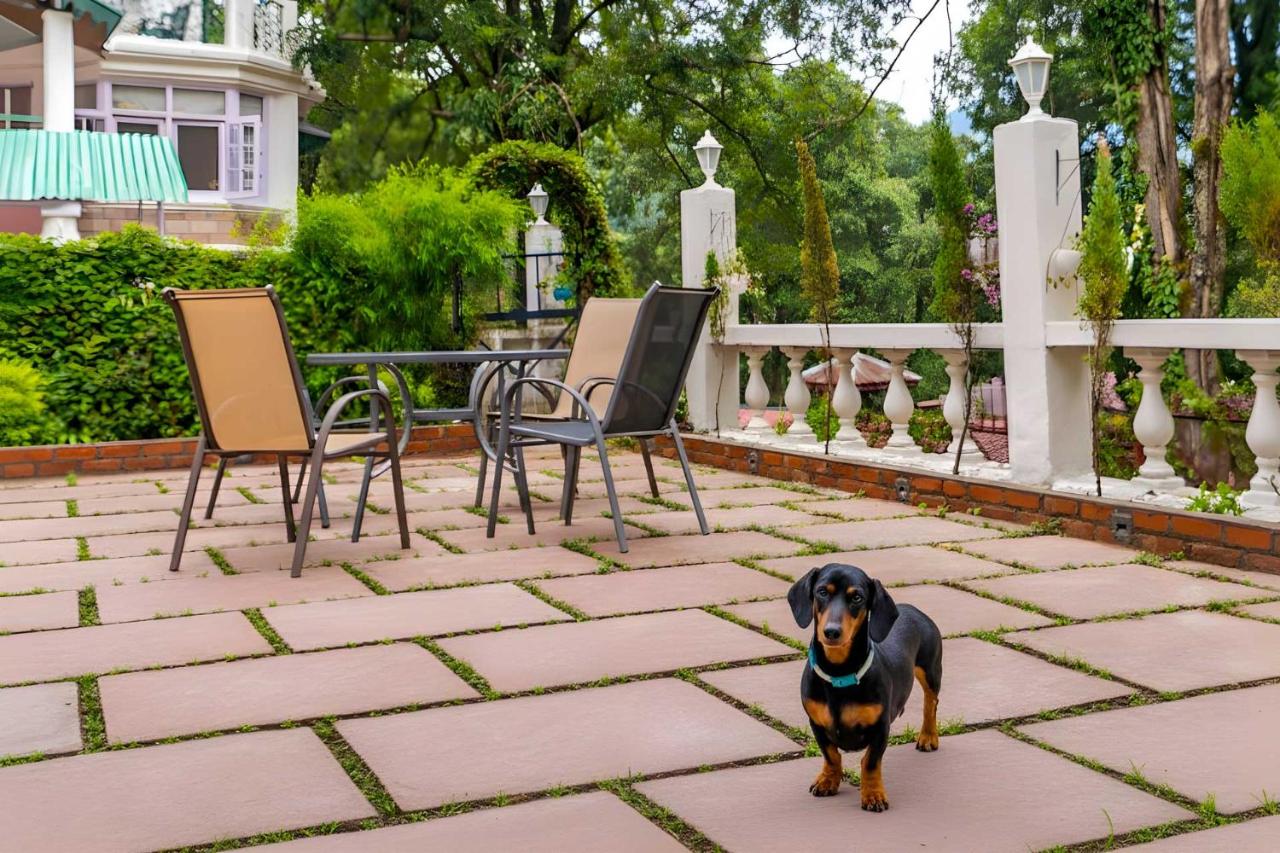 StayVista at The Emily Chalet 7 BR House in Nainital with Bonfire, BBQ - Chambres d'hôtes Naini Tāl