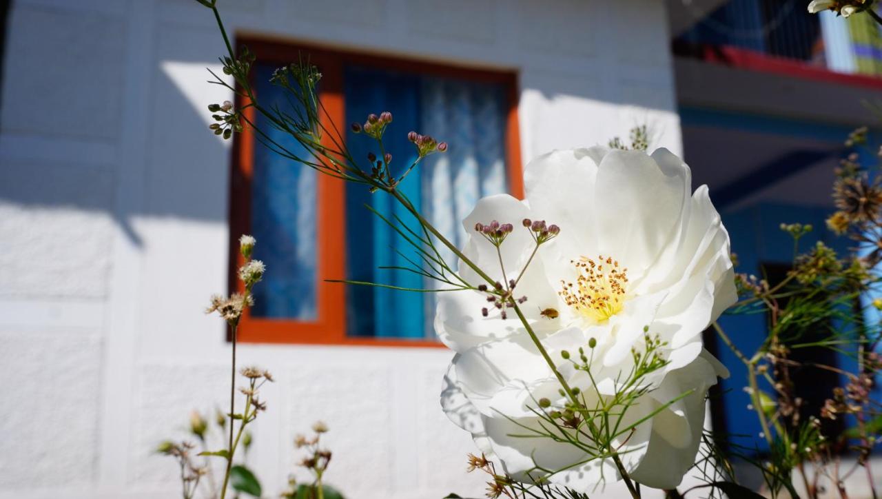 Summer Guest House - B&B Chauntra