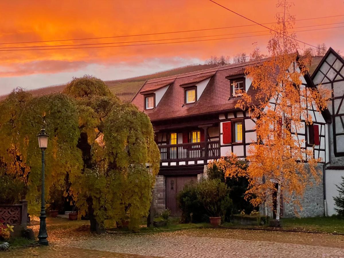 La cour du vigneron - B&B Turckheim