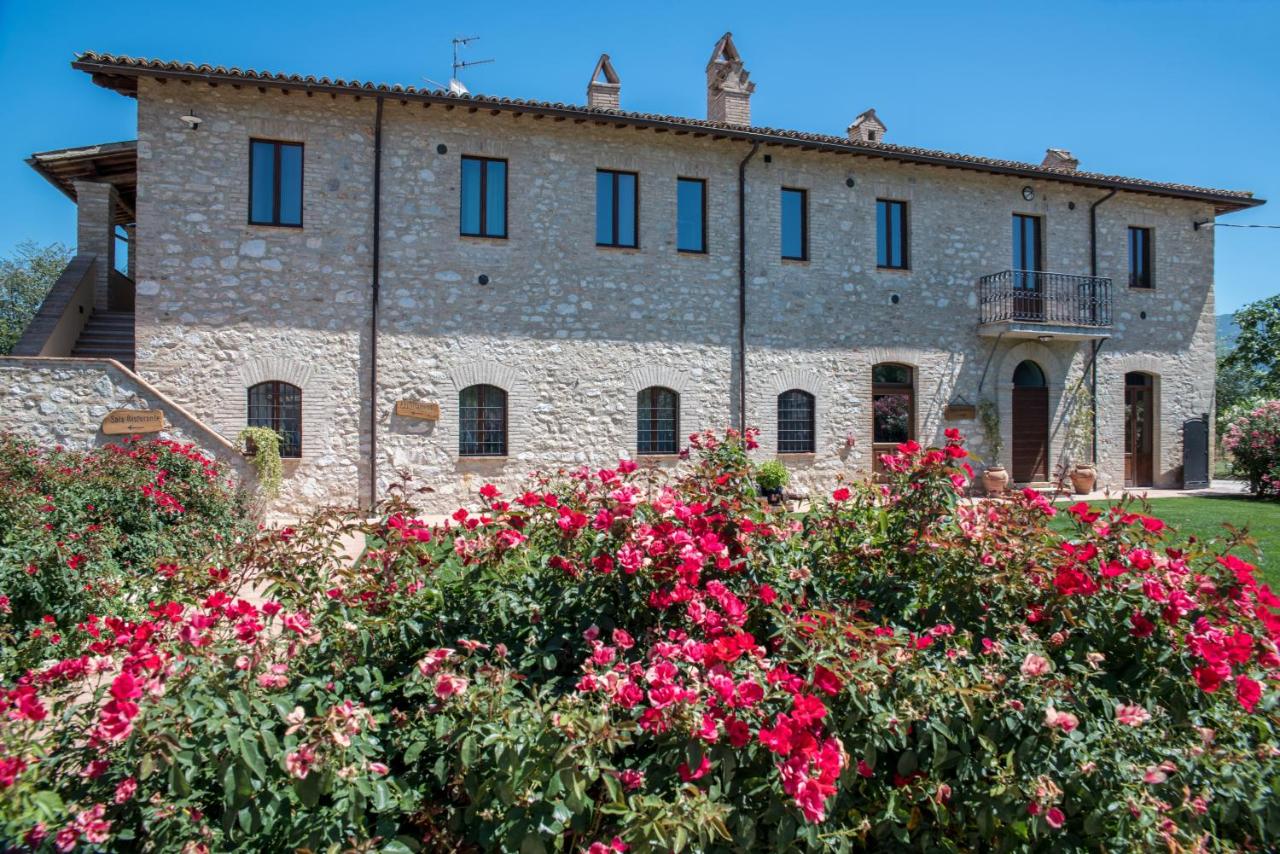 B&B Protte - Casale Rotoloni - Bed and Breakfast Protte