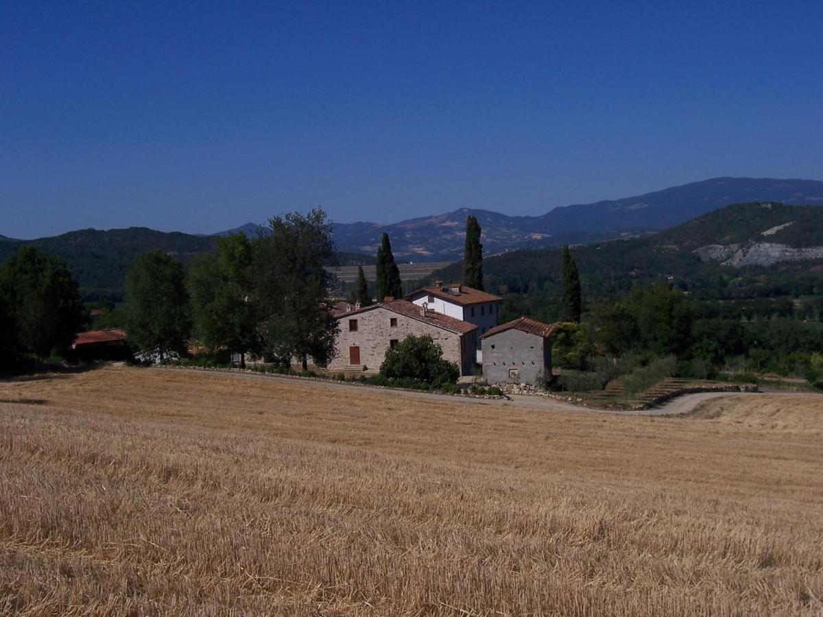 Appartamenti con cucina nelle colline toscane - B&B