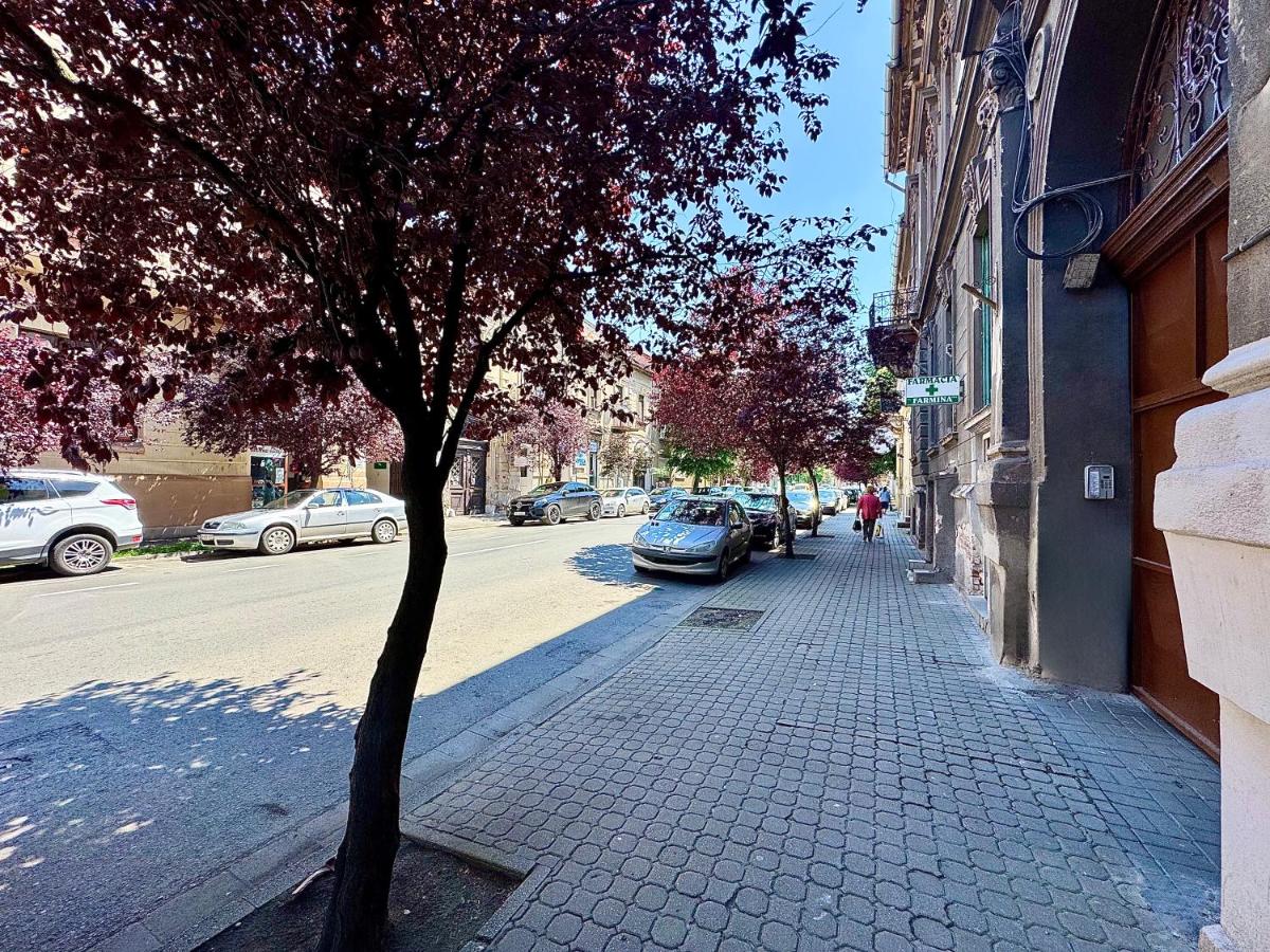 Cris & Ema Luxury Downtown Apartment - B&B Arad