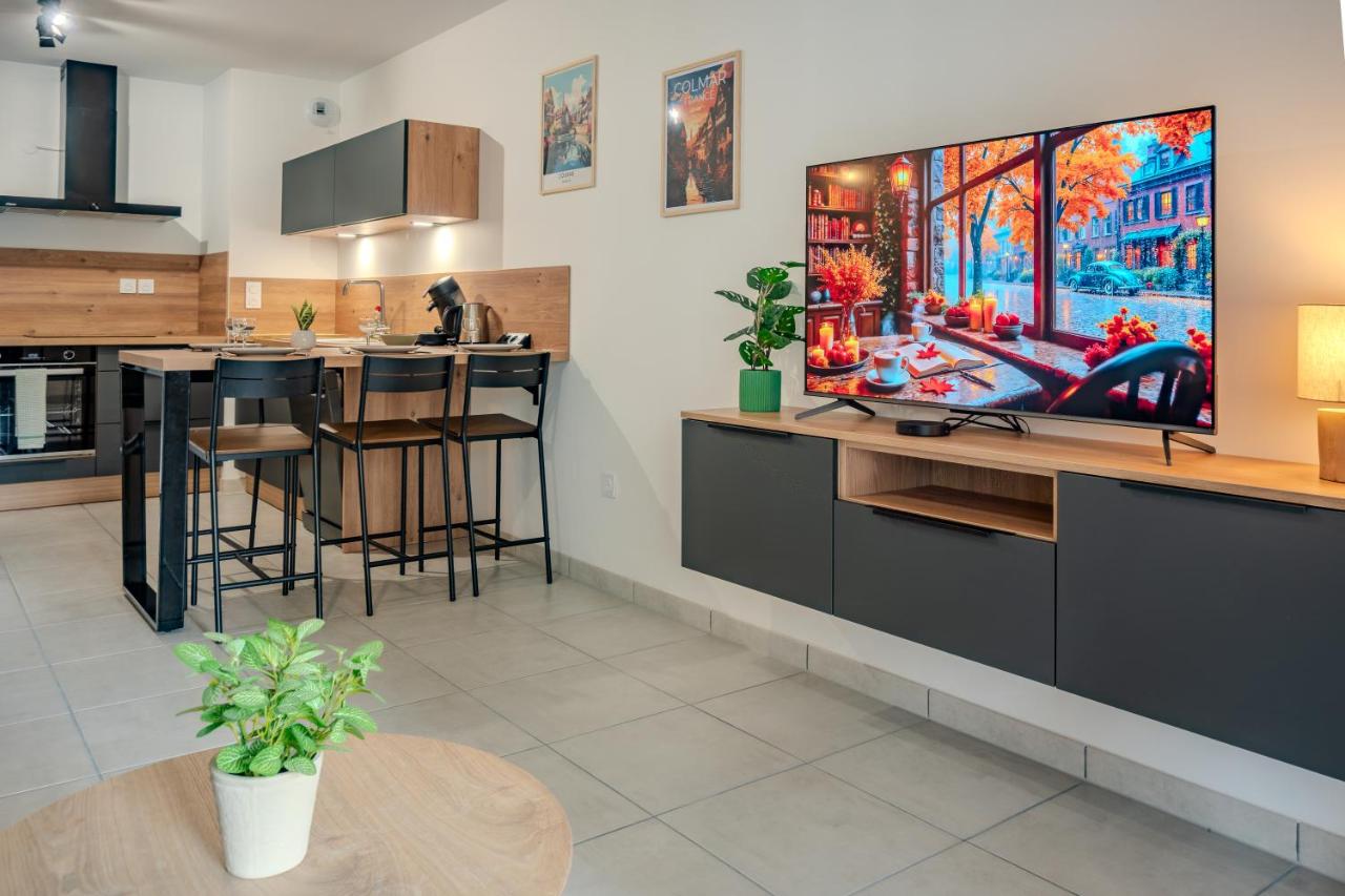 Le Stan - Centre Ville - Terrasse & Parking Gratuit - Commerces à proximité - Ferienwohnung Colmar