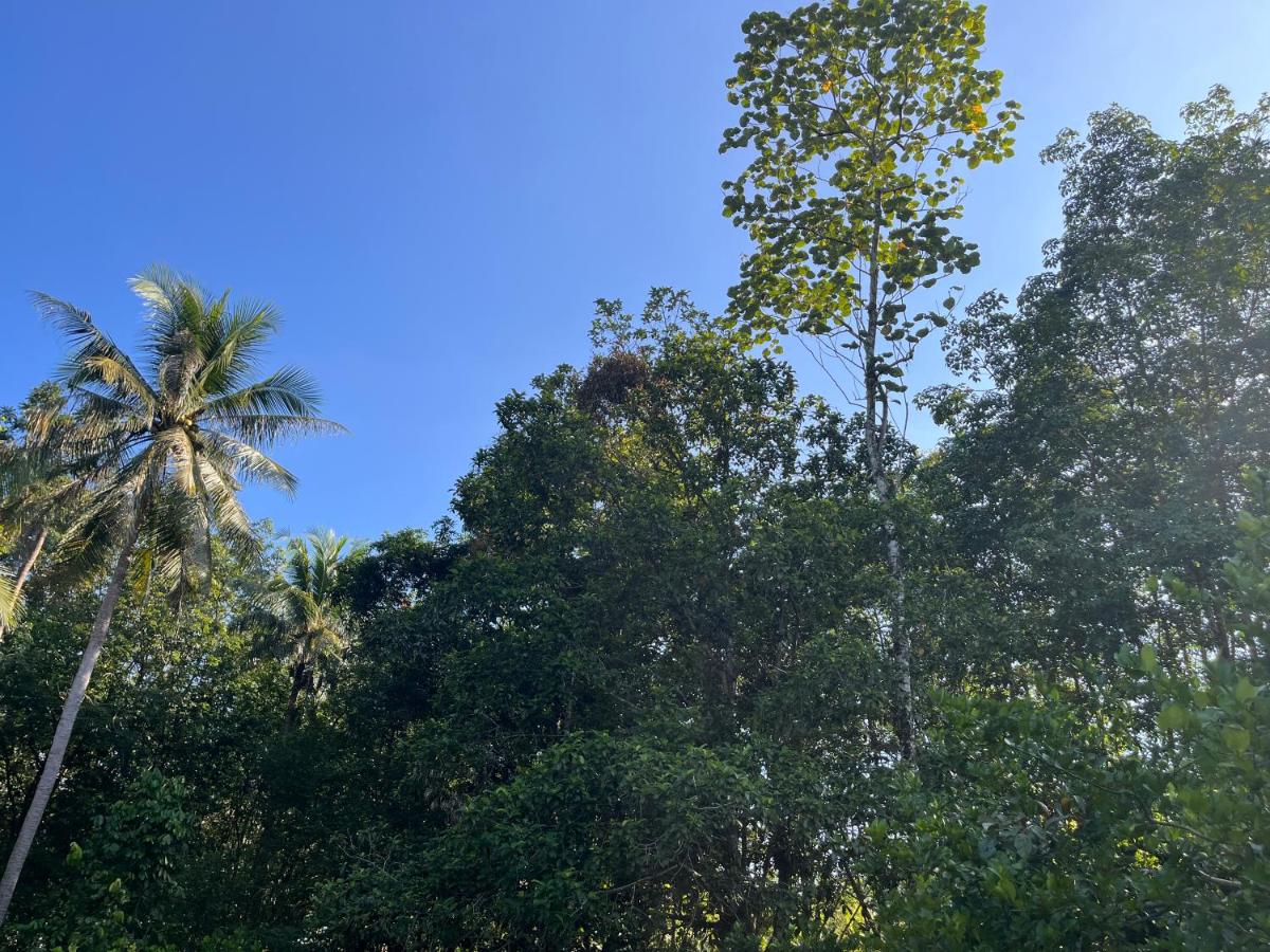 Balance home happy - B&B Ban Laem Sai