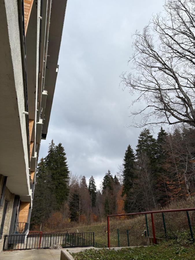 Studio Apartment N86 at X2 - B&B Bakuriani