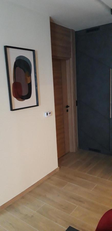 Tara Panorama - Vila Bor Lux Apartment - Chambres d'hôtes Iglići