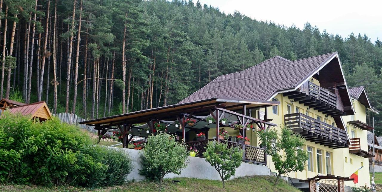 Pensiunea Ioana - B&B Rugineşti