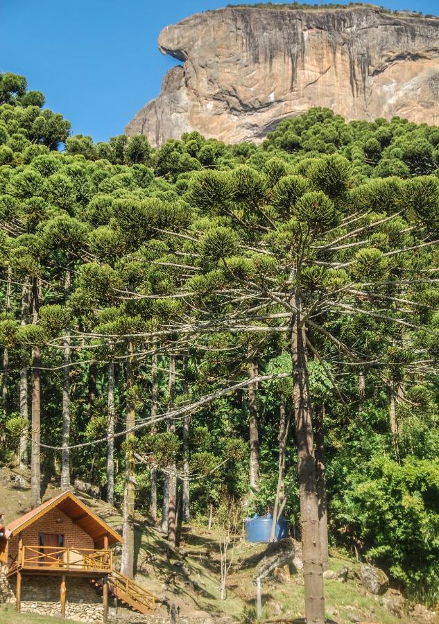 Suite con Vista Montagna