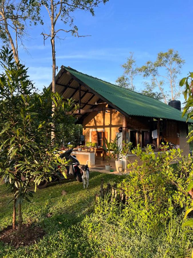 Villa with Garden View