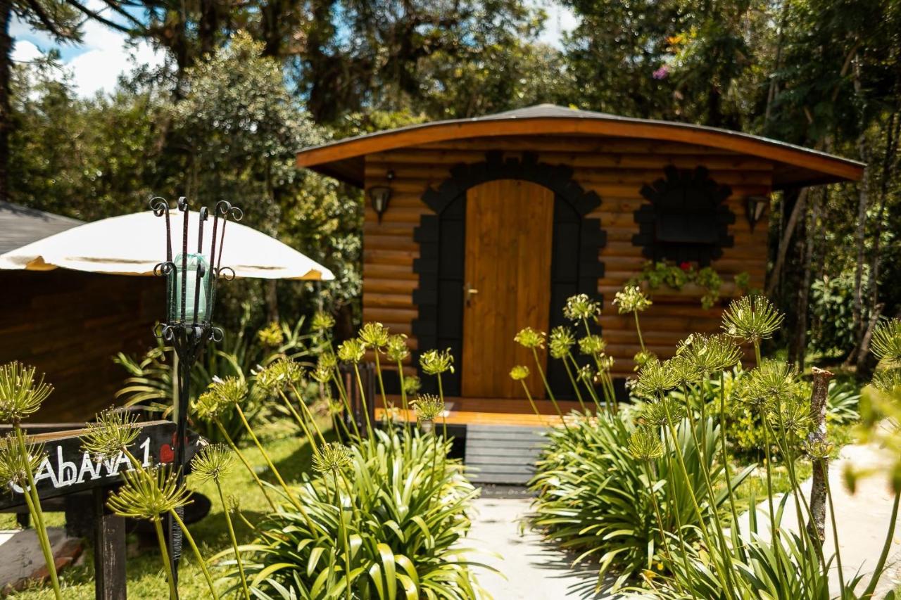 Superior Bungalow with Spa Bath