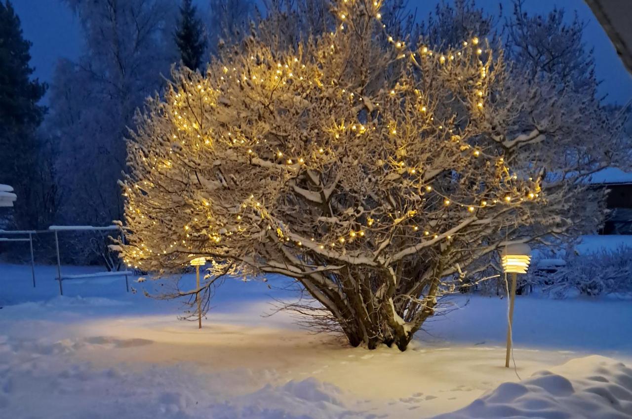 Villa Vintage, Scandinavian Design and Comfort Near the City and Ski Slopes - Chambres d’hôtes Rovaniemi