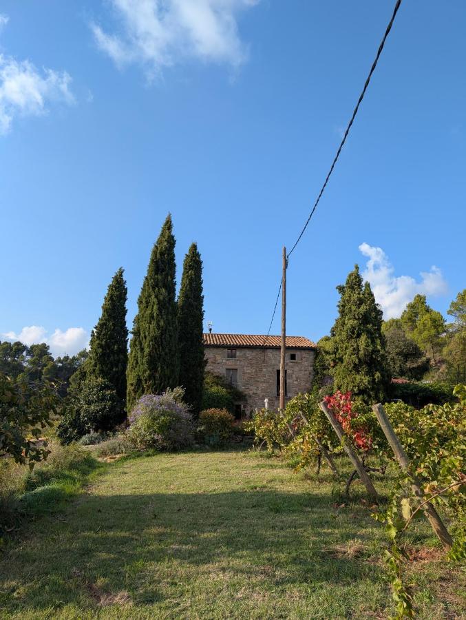 Celler Colltor - B&B Santa Maria d'Oló