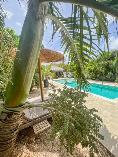 Deluxe Double Room (2 Adults + 1 Child)